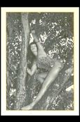 Bunny Yeager's Bettie Page (Base Set) card 2