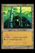Magic the Gathering: Onslaught (Base Set) card 329 Wirewood Lodge