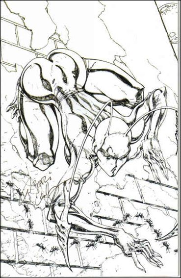 Ant (2004) issue 1-C J. Scott Campbell Sketch Virgin Cover