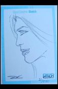 Michael Turner's Fathom (Sketch Card Subset) Cover Image 2