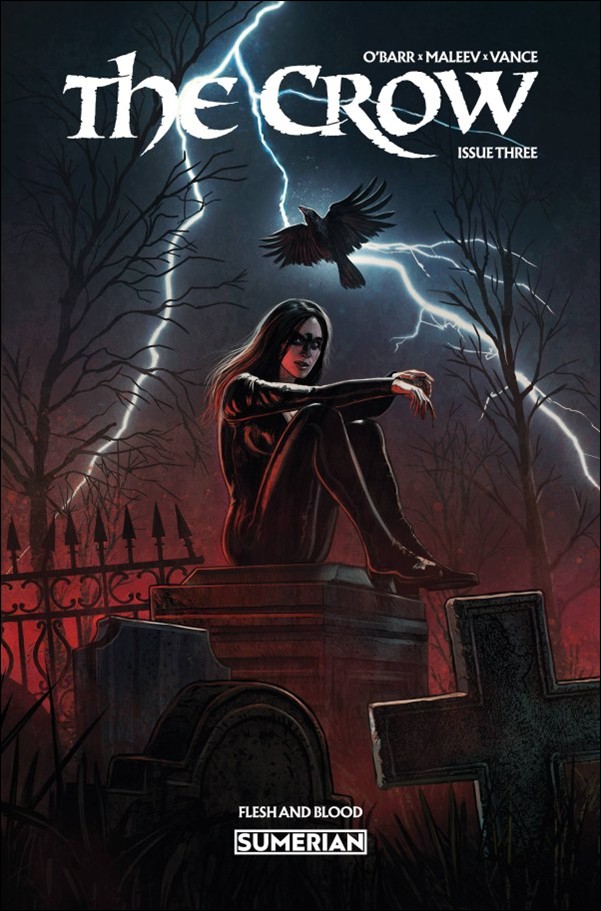 Crow: Flesh & Blood (2025) issue 3 Eduardo Schaal Cover