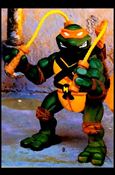 Teenage Mutant Ninja Turtles: Ninja Action Cover Image 1