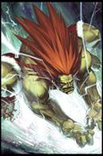 Street Fighter II (2005) issue 2-C Joe Vriens Power Foil Cover