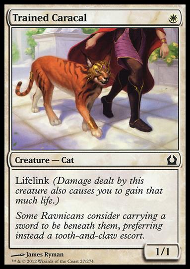 Magic the Gathering: Return to Ravnica (Base Set) card 27 Trained Caracal