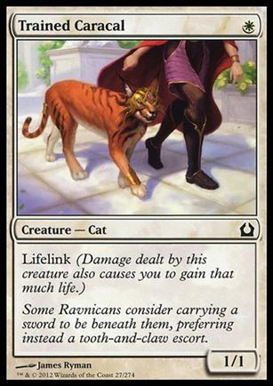 Magic the Gathering: Return to Ravnica (Base Set) card 27 Trained Caracal