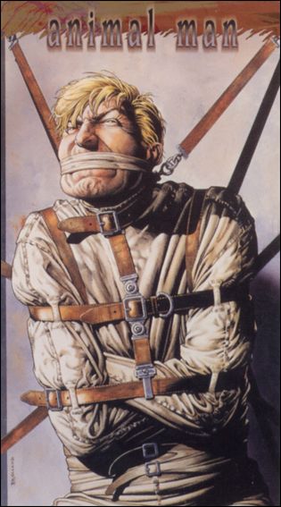 Vertigo Trading Cards (Base Set) card 26 Animal Man #60