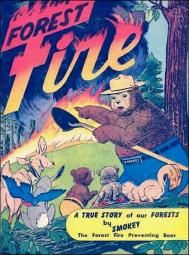Forest Fire issue 1