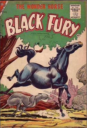 Black Fury issue 6