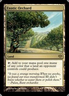 Magic the Gathering: Conflux (Base Set) card 142 Exotic Orchard