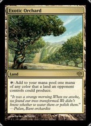 Magic the Gathering: Conflux (Base Set) card 142 Exotic Orchard