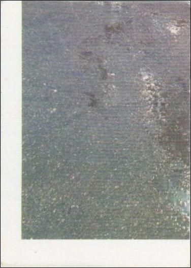 Kustom Cars 1  (Checklist/Puzzle Piece Subset) card 7 Bottom Left / Gray Checklist