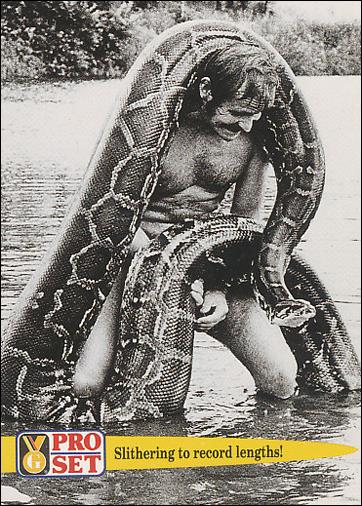 Guinness World Records (Base Set) card 60 Slithering to record lengths!