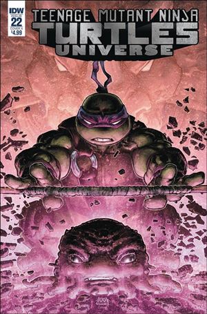 Teenage Mutant Ninja Turtles Universe issue 22 Freddie Williams II Cover
