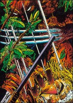 Spider-Man: The McFarlane Era (Base Set) card 51 Got’Cha