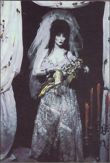 Elvira Mistress of the Dark (Base Set) card 55