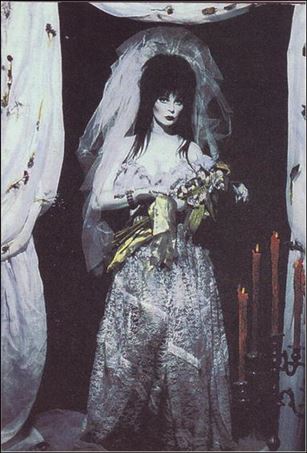 Elvira Mistress of the Dark (Base Set) card 55