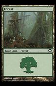 Magic the Gathering: Planechase (Base Set) card 168 Forest
