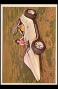Hot Rod (Base Set) card 38 A Real Winner