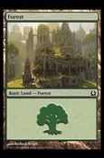 Magic the Gathering: Return to Ravnica (Base Set) card 273 Forest
