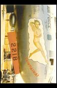 Vintage Aircraft Nose Art (Base Set) card 33 Shinpaina!