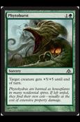 Magic the Gathering: Dragon's Maze (Base Set) card 46 Phytoburst