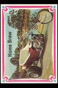 Choppers & Hot Bikes (Base Set) card 48 Home Brew