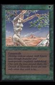 Magic the Gathering: Limited Edition Alpha (Base Set) card 216 Shanodin Dryads