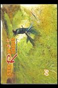 Storm Riders issue 6