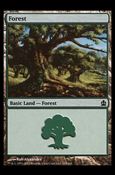 Magic the Gathering: Commander (Base Set) card 315 Forest