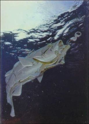 Sorayama II: Chromium Creatures (Base Set) Cover Image 2