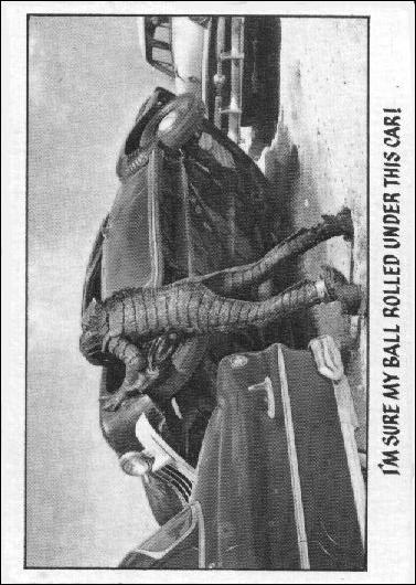 Creature Feature (Base Set) card 47 I'm sure my ball rolled under this car!