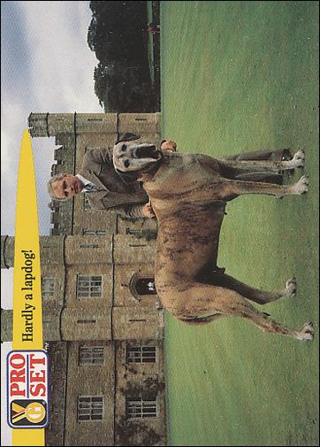 Guinness World Records (Base Set) card 56 Hardly a lapdog!