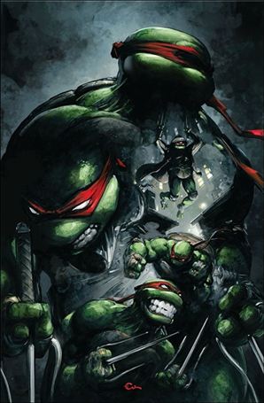 Teenage Mutant Ninja Turtles (2024) issue 9-K Webstore Excl. Clayton Crain Virgin Cover 1/342