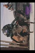 Starship Troopers: Series 1 (Base Set) card 38 The Compound Falls