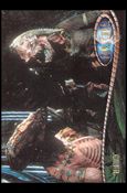 Farscape: Season Three (Base Set) card 177 “Relativity”