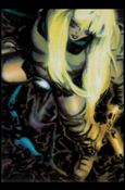 Animal Mystic (Base Set) card 37 Conquest