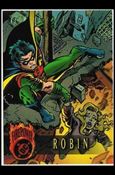 OutBurst: DC FirePower (Base Set) card 60 Robin