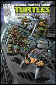 Teenage Mutant Ninja Turtles New Animated Adventures issue 9 Dario Brizuela Cover
