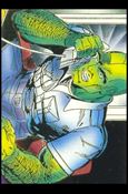 Savage Dragon (Base Set) card 3 Megaton