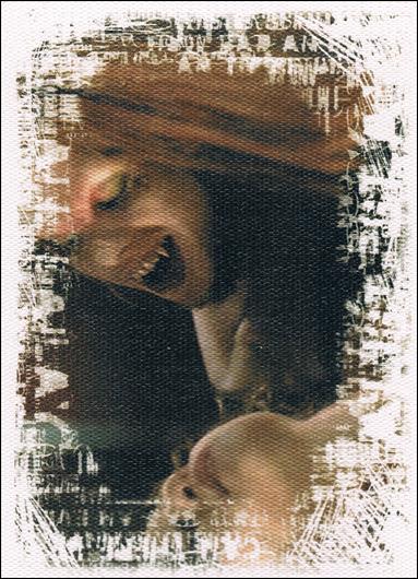 Buffy the Vampire Slayer Reflections: The High School Years (Base Set) card 24 Wicked Willow
