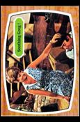 Brady Bunch (Base Set) card 49 Soothing Greg !