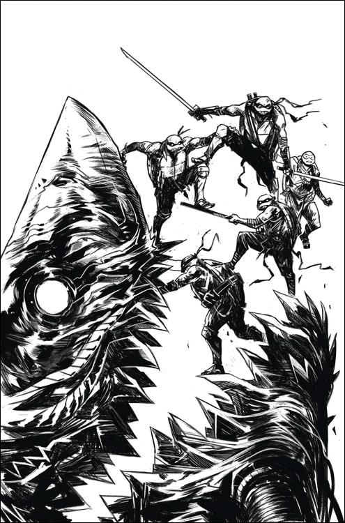 Teenage Mutant Ninja Turtles (2011) issue 149-D Caspar Wijngaard 1:25 B&W Virgin Cover