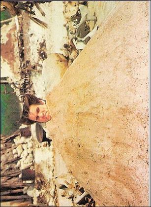 Ace Ventura: When Nature Calls (Base Set) card 62 Sand Trap