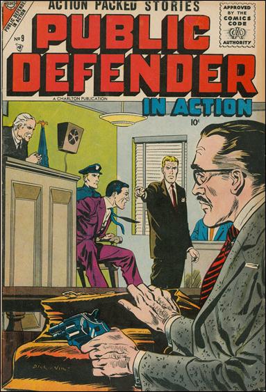 Public Defender in Action issue 9