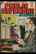 Public Defender in Action issue 9