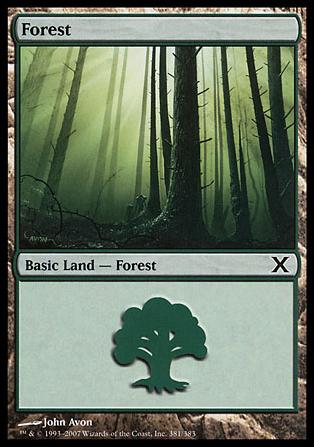 Magic the Gathering: 10th Edition (Base Set) card 381 Forest