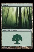 Magic the Gathering: 10th Edition (Base Set) card 381 Forest