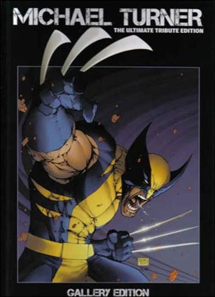 Wizard Michael Turner Gallery Edition Cover Image 1