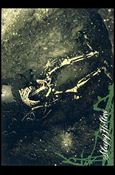 Sleepy Hollow (Movie) (Base Set) card 33 His Final Remains... But No Skull