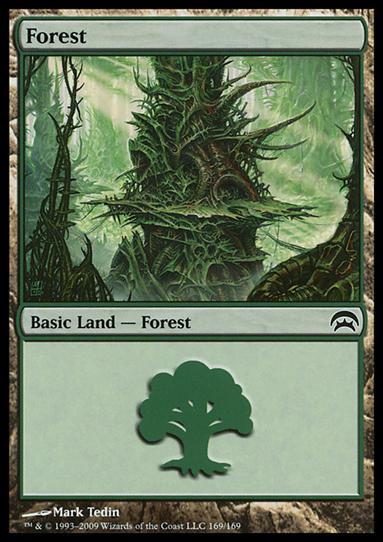 Magic the Gathering: Planechase (Base Set) card 169 Forest